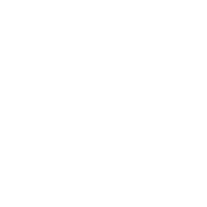 borgwarner