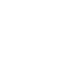united-nations