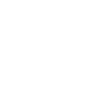 verizon